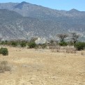 Aethiopien-Arbore-Huetten-WWW_01