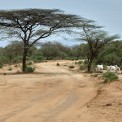 Aethiopien-Turmi-Savanne-Akazien-Strasse-WWW_01