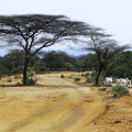 aethiopien-turmi-savanne-akazien-strasse-www_01