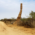 aethiopien-murulle-kara-termiten-www_01