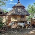 Aethiopien-Konso-Gehoeft_04
