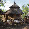 aethiopien-konso-gehoeft-www_04