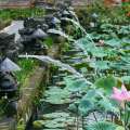 2004-bali-ubud-pura-taman-saraswati-www_01