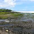 2005-bali-beraban-tanah-lot-www_03