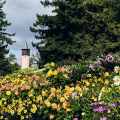 2022-bodensee-mainau-schwedenturm-www_01