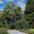 2022-bodensee-mainau-www_02