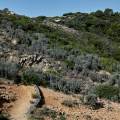 2019-provence-var-cap-camarat-sentier-du-littoral-www_01