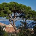 2019-provence-var-saint-tropez-www_13