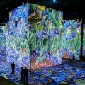 2019-carrieres-des-lumieres-van-gogh-www_02