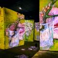 2019-carrieres-des-lumieres-van-gogh-www_04