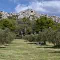 2019-provence-bouches-du-rhone-maussane-les-alpilles-www_01