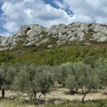 2019-provence-bouches-du-rhone-maussane-les-alpilles-www_02