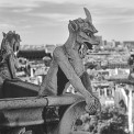 1978-Paris-Hotel-de-Ville-Notre-Dame-Kathedrale-SWWW_01