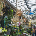 Paris-2026-Hotel-de-Ville-Notre-Dame-Marche-aux-fleurs-WWW_01