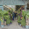 Paris-2026-Hotel-de-Ville-Notre-Dame-Marche-aux-fleurs_02