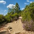 2018-provence-vaucluse-rustrel-www_11