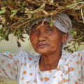 myanmar-bagan-taungzin-farmerin-www_02