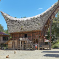 Sulawesi-Palawa-WWW_04