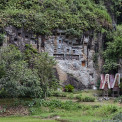 Sulawesi-Rantepao-Lemo-WWW_02