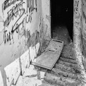 Schaufling-Berghof-Rusel-WWW_02