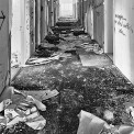 Schaufling-Berghof-Rusel-WWW_03