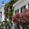 2019-Ischia-Porto-WWW_06