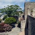 2019-ischia-ponte-castello-aragonese-www_04