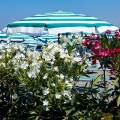 2019-ischia-spiaggia-di-san-pietro-www_01