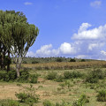 kenia-maralal-manyatta-lekalasimi-www_15