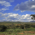 kenia-maralal-manyatta-lekalasimi-www_17_0