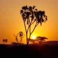 kenia-umoja-sonnenaufgangwww_02