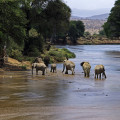 kenia-samburu-np-elefant-www_03