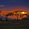 kenia-samburu-np-sonnenuntergang-www_01