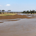 kenia-samburu-np-uasu-nyeru-fluss-www_01