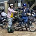 myanmar-bagan-www_03