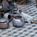 2009-Marokko-Marrakesch-Souk-WWW_07