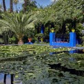 2009-Marokko-Jardin-Majorelle-WWW_06
