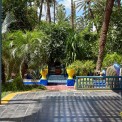 2009-Marokko-Jardin-Majorelle-WWW_09