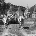 Myanmar-Sagaing-SWWW_01