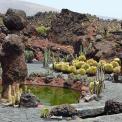 Lanzarote-Guatiza-Jardin-de-Cactus-WWW_02