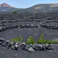 Lanzarote-La-Geria_02