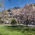 Naheland-Bad-Muenster-am-Stein-Ebernburg-WWW_03