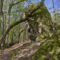 Hessen-Georgenborn-Grauer-Stein-WWW_01