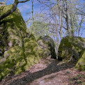 Hessen-Georgenborn-Grauer-Stein-WWW_02