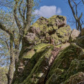 Hessen-Georgenborn-Grauer-Stein-WWW_04
