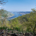 Rheinland-Pfalz-Binger-Wald-Soonwaldsteig-WWW_01