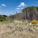 1_Rheinland-Pfalz-Horhausen-WWW_01