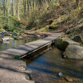 Rheinland-Pfalz-Pfalz-Trippstadt-Karlstalschlucht-WWW_10