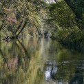 1_Taubergiessen-WWW_12