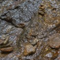 Bayern-Bodenmais-Hochfall-WWW_08